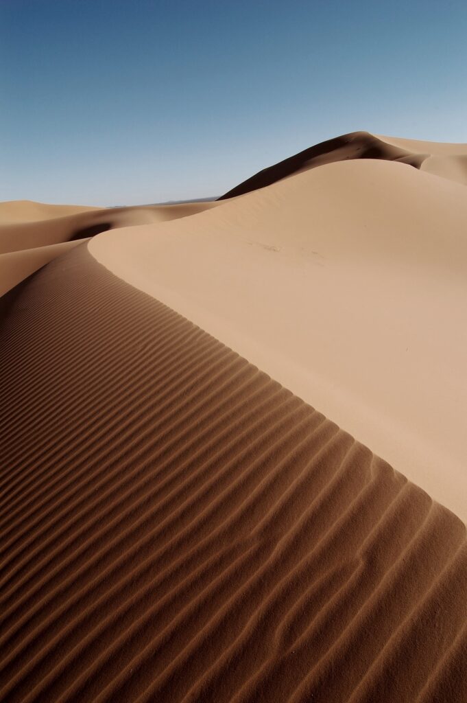 marruecos desierto (Rosino on Flickr, CC BY-SA 2.0)